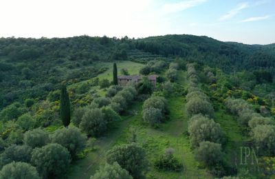 Landsted til salgs 06073 Corciano, Umbria, Bilde 6/42