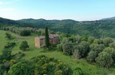 Landsted til salgs 06073 Corciano, Umbria, Bilde 7/42
