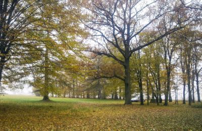 Historisk park till salu Skorki, województwo mazowieckie,, Tomt