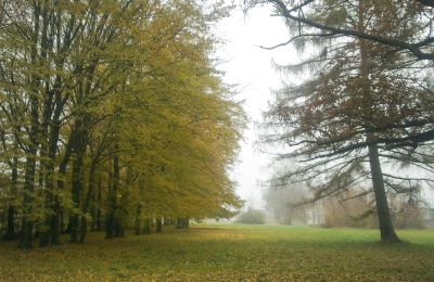 Historisk park till salu Skorki, województwo mazowieckie,, Park