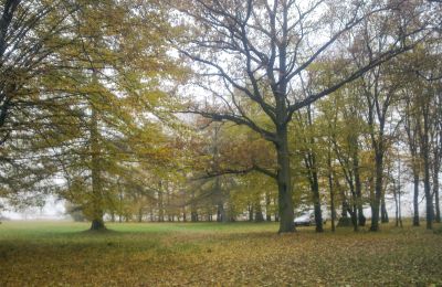 Historisk park till salu Skorki, województwo mazowieckie,, Bild 5/6