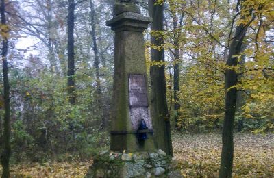 Historisk park till salu Skorki, województwo mazowieckie,, Bild 6/6