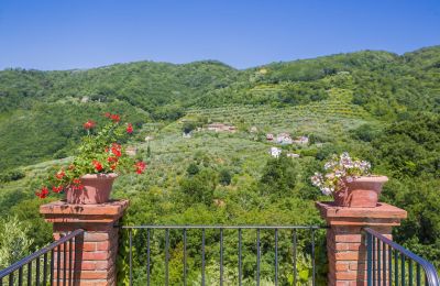 Landhus til salg Pistoia, Toscana, Udsigt