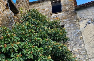 Huis te koop Liguria:  