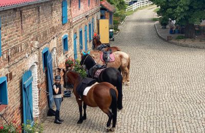 Herregård til salgs Krzyż Wielkopolski, województwo wielkopolskie, Bilde 13/20