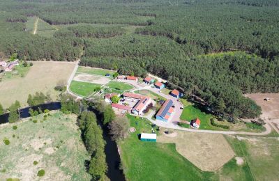 Herregård til salgs Krzyż Wielkopolski, województwo wielkopolskie, Bilde 16/20