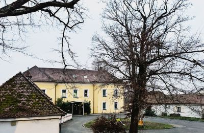 Slott til salgs 92237 Sulzbach-Rosenberg, Schlossbergweg  10, Bayern, Foranvisning