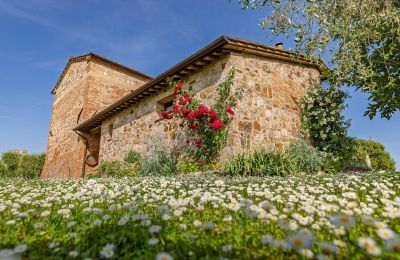 Landsted til salgs Montalcino, Toscana, Bilde 14/26