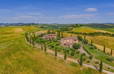 Landsted til salgs Montalcino, Toscana, Bilde 12/26