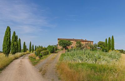 Landsted til salgs Montalcino, Toscana, Bilde 8/26