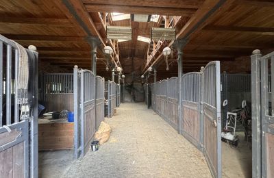 Landsted til salgs województwo zachodniopomorskie, Bilde 10/26