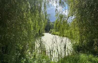 Landsted til salgs województwo zachodniopomorskie, Bilde 14/26