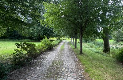 Landsted til salgs województwo zachodniopomorskie, Bilde 17/26