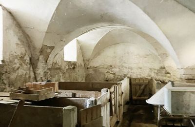 Historische Immobilie kaufen 94152 Vornbach, Schauerödstraße 2+4, Bayern, Foto 7/21