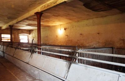 Historische Immobilie kaufen 94152 Vornbach, Schauerödstraße 2+4, Bayern, Foto 11/21