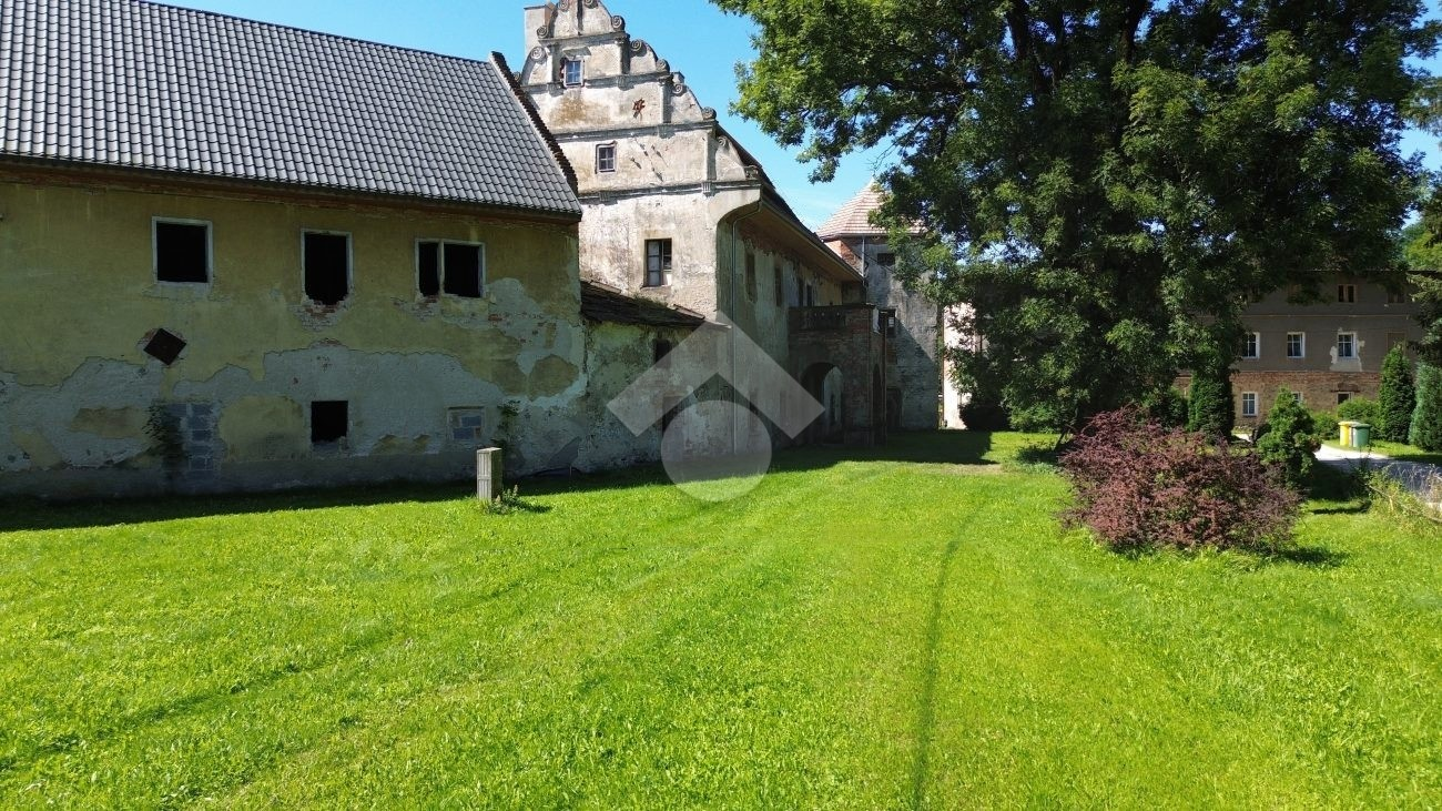 Bilder 