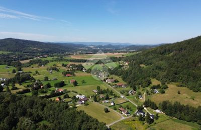 Herregård til salg Radochów, województwo dolnośląskie, Billede 10/10