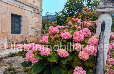 Herregård til salg Araba/Álava, Ayala/Aiara, Ayala / Aiara, Llanteno, Euskadi, Billede 2/29