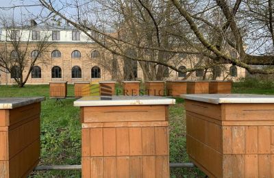 Herregård til salg Ojrzanów, Pałac w Ojrzanowie, województwo mazowieckie, Billede 14/18