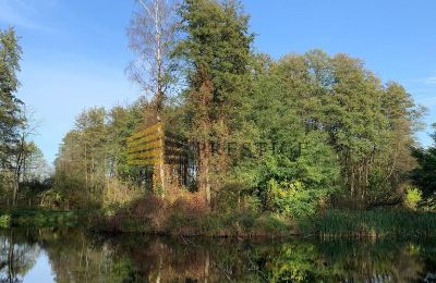 Herregård til salg Ojrzanów, Pałac w Ojrzanowie, województwo mazowieckie, Park