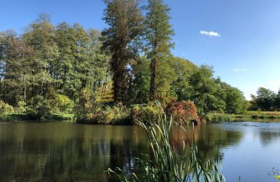 Herregård til salg Ojrzanów, Pałac w Ojrzanowie, województwo mazowieckie, Park