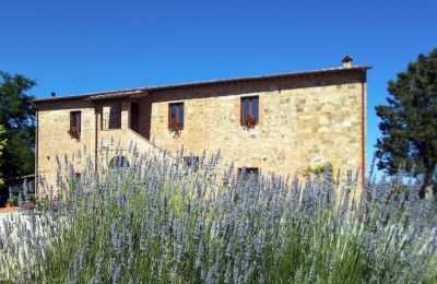 Lantgård 06062 Città della Pieve, Umbria