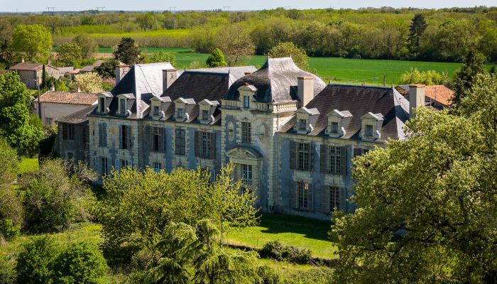 Schloss kaufen Thouars, Neu-Aquitanien