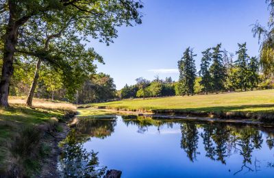 Slot til salg Nevers, Bourgogne-Franche-Comté, Billede 4/18