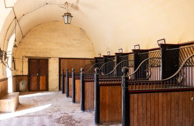 Slot til salg Nevers, Bourgogne-Franche-Comté, Billede 14/18
