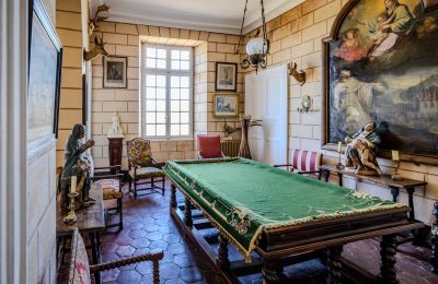Slot til salg Nevers, Bourgogne-Franche-Comté, Billede 12/18