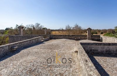 Historisk eiendom til salgs Francavilla Fontana, Puglia, Bilde 10/34