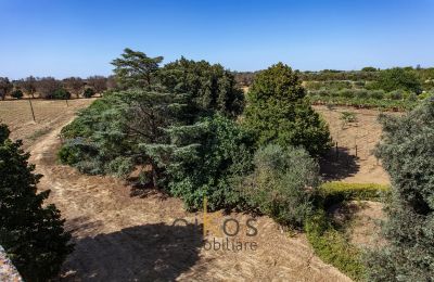 Historisk eiendom til salgs Francavilla Fontana, Puglia, Bilde 12/34