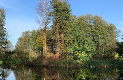 Herregård til salgs Ojrzanów, Pałac w Ojrzanowie, województwo mazowieckie, Park