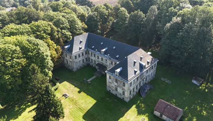 Slott till salu Pobiedna, województwo dolnośląskie,  Polen