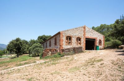 Slott til salgs Castellar del Vallès, Poligono 19 Parcela 12, Catalonia, Bilde 41/50