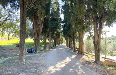 Slott til salgs Castellar del Vallès, Poligono 19 Parcela 12, Catalonia, Bilde 45/50