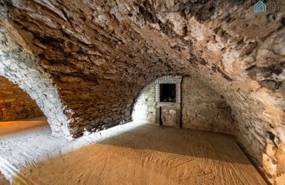 Herrenhaus/Gutshaus kaufen Rakovec nad Ondavou, Region Košice, Keller