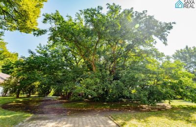 Herrenhaus/Gutshaus kaufen Rakovec nad Ondavou, Region Košice, Park