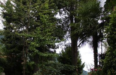 Historische Villa kaufen Faido, Tessin, Zufahrt