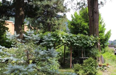 Historische Villa kaufen Faido, Tessin, Foto 26/44