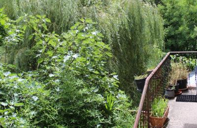 Historische Villa kaufen Faido, Tessin, Foto 23/44