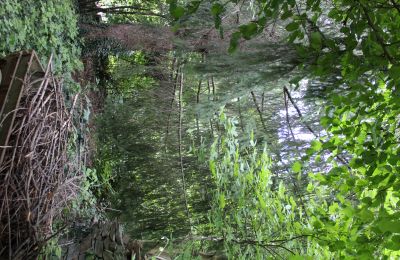 Historische Villa kaufen Faido, Tessin, Foto 11/44