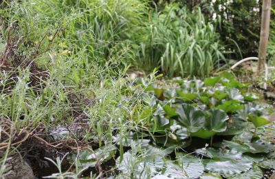 Historische Villa kaufen Faido, Tessin, Foto 28/44