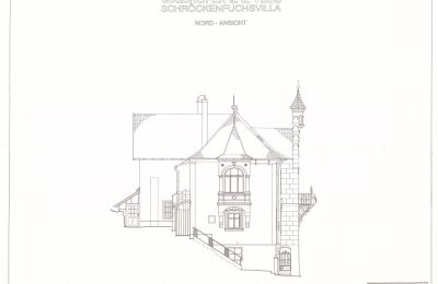 Historisk villa til salg Waidhofen an der Ybbs, Niederøstrig, Billede 41/40