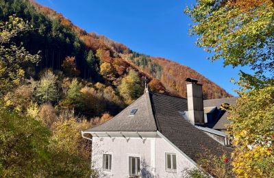 Historisk villa til salg Waidhofen an der Ybbs, Niederøstrig, Billede 31/40