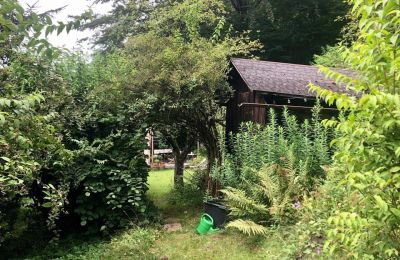 Historisk villa til salg Waidhofen an der Ybbs, Niederøstrig, Billede 30/40