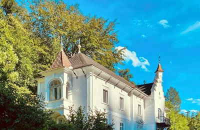 Historisk villa til salg Waidhofen an der Ybbs, Niederøstrig, Billede 2/40