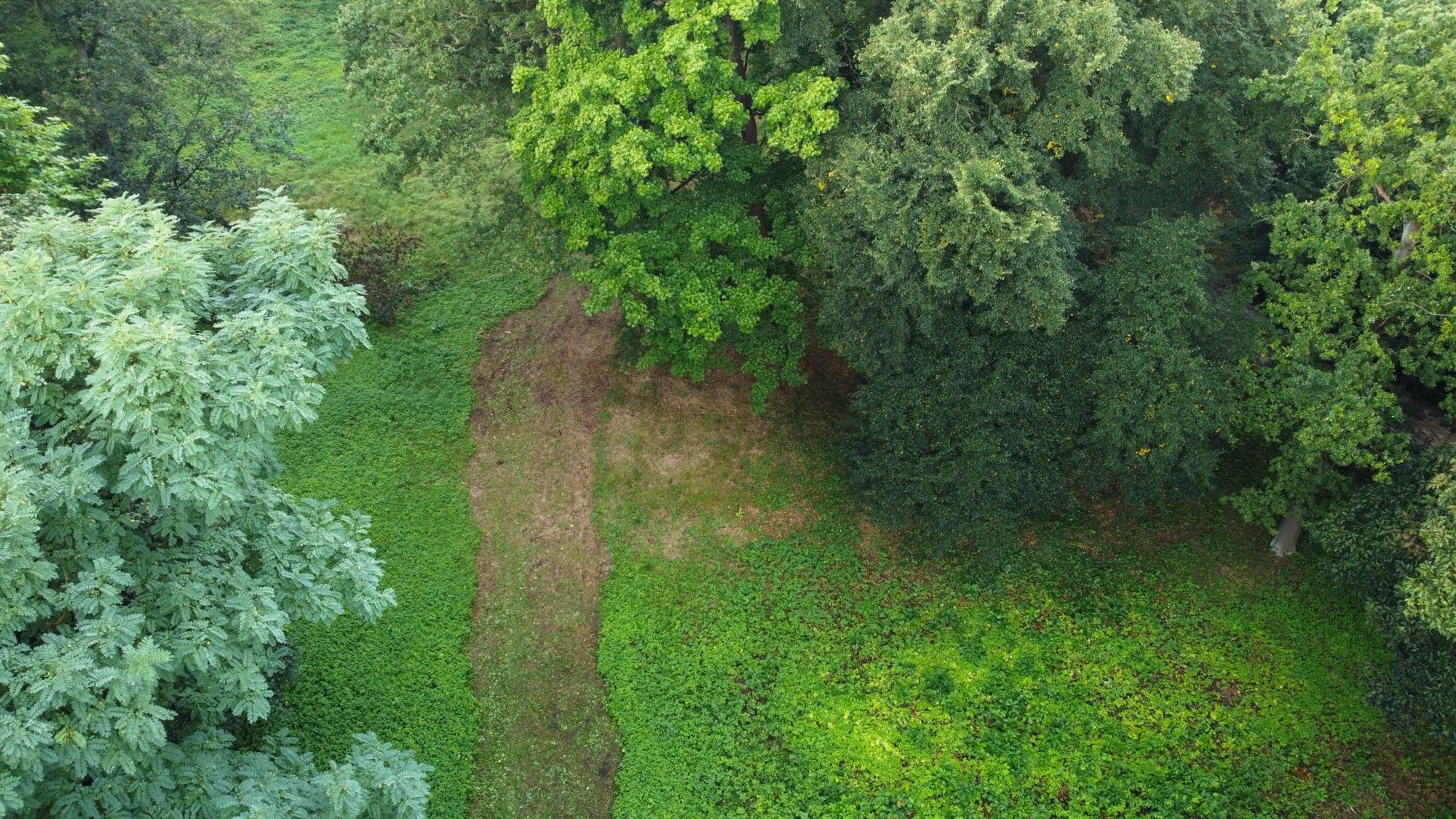 Billeder Historisches Gelände mit Baumöglichkeit in der Denkmalzone von Iłowa (Schloss Halbau)