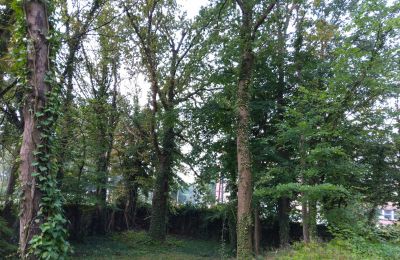 Historisk park til salg Iłowa, Kolejowa 11, województwo lubuskie, Billede 11/17