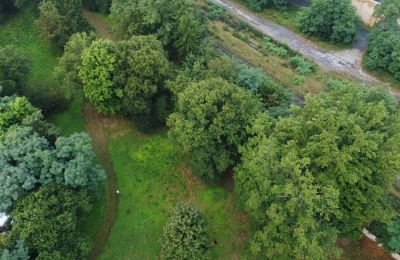 Historisk park til salg Iłowa, Kolejowa 11, województwo lubuskie, Billede 16/17